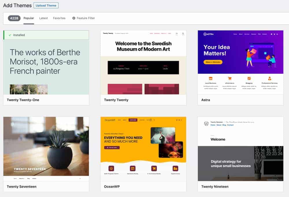 A screenshot of the WordPress “Add Themes” page showing six different website themes, including Twenty Twenty-One, Twenty Twenty, Astra, Twenty Seventeen, OceanWP, and Twenty Nineteen.